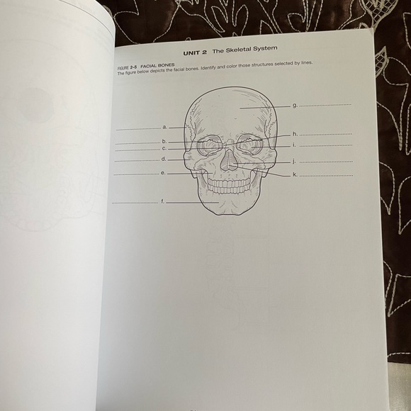 BRAND NEW MOSBYS ANATOMY COLORING BOOK. NEVER USED! - Picture 4 of 4